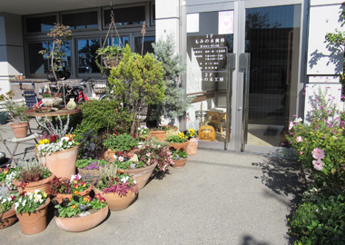 もみの木歯科医院